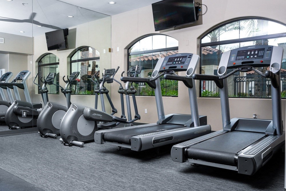 a row of treadmills in the gym