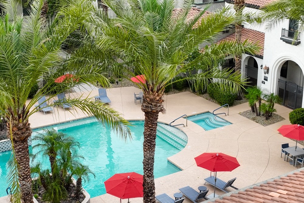 a swimming pool in a courtyard with palm trees