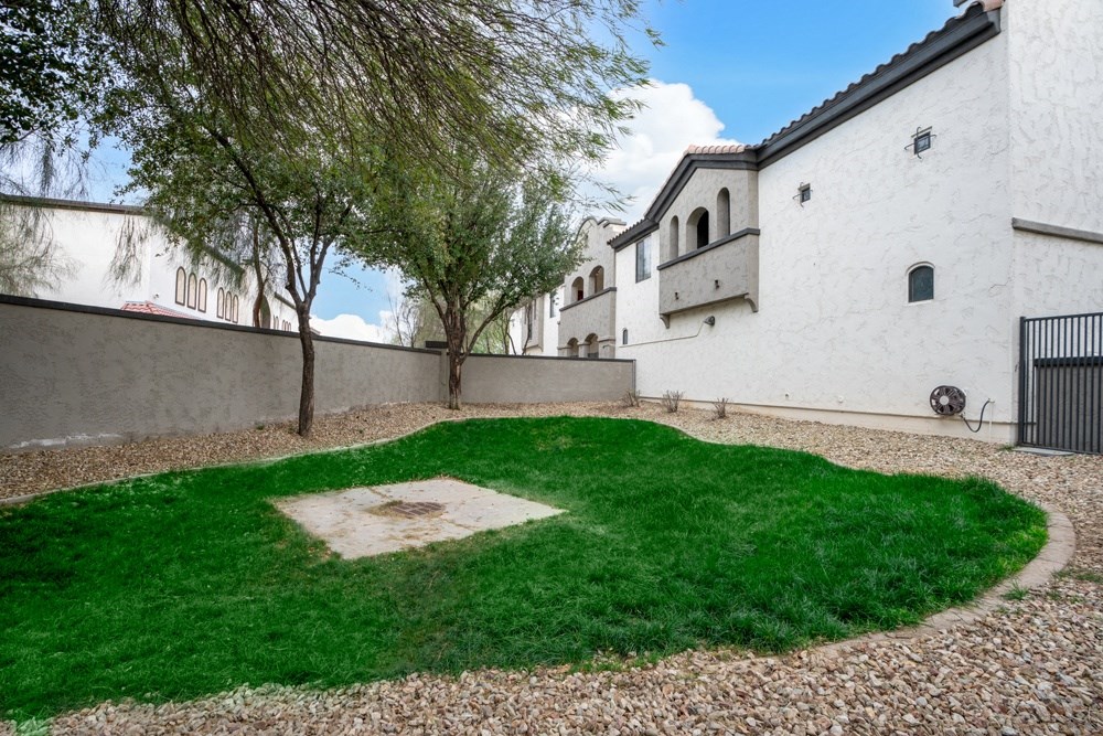 grassy area with trees