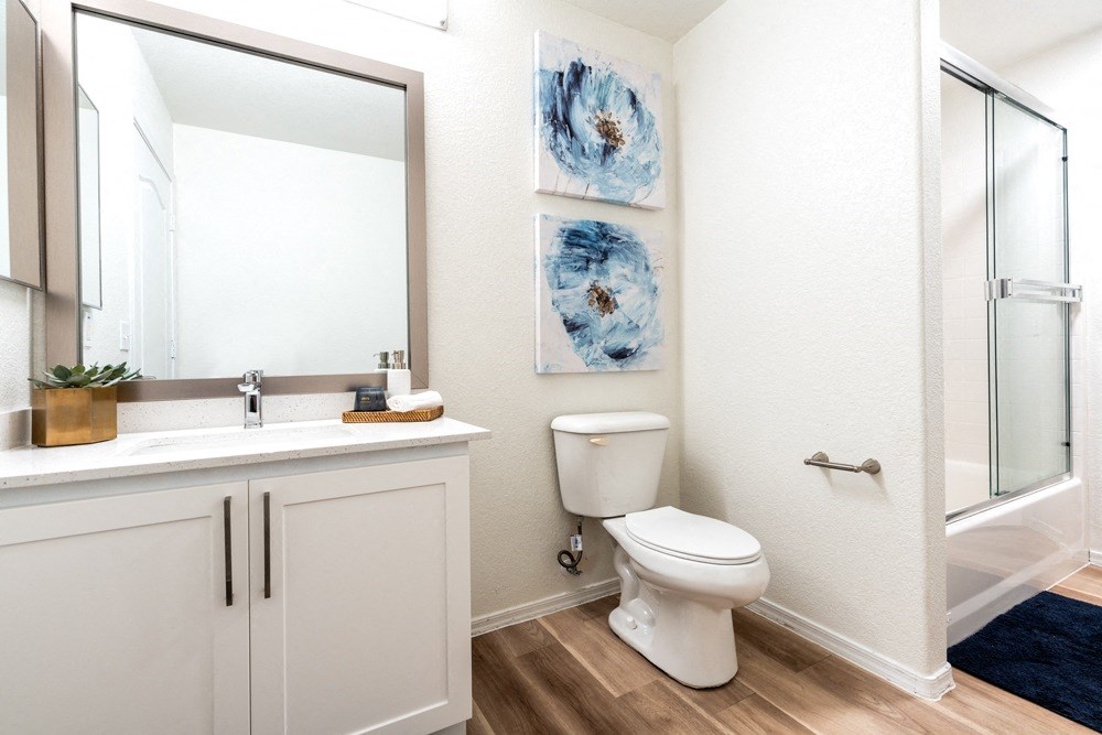 a bathroom with a mirror and a toilet and a sink