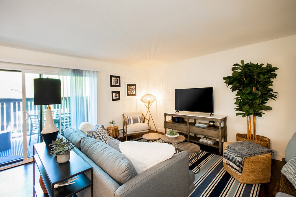 A living room with a grey couch, a television, and a plant.