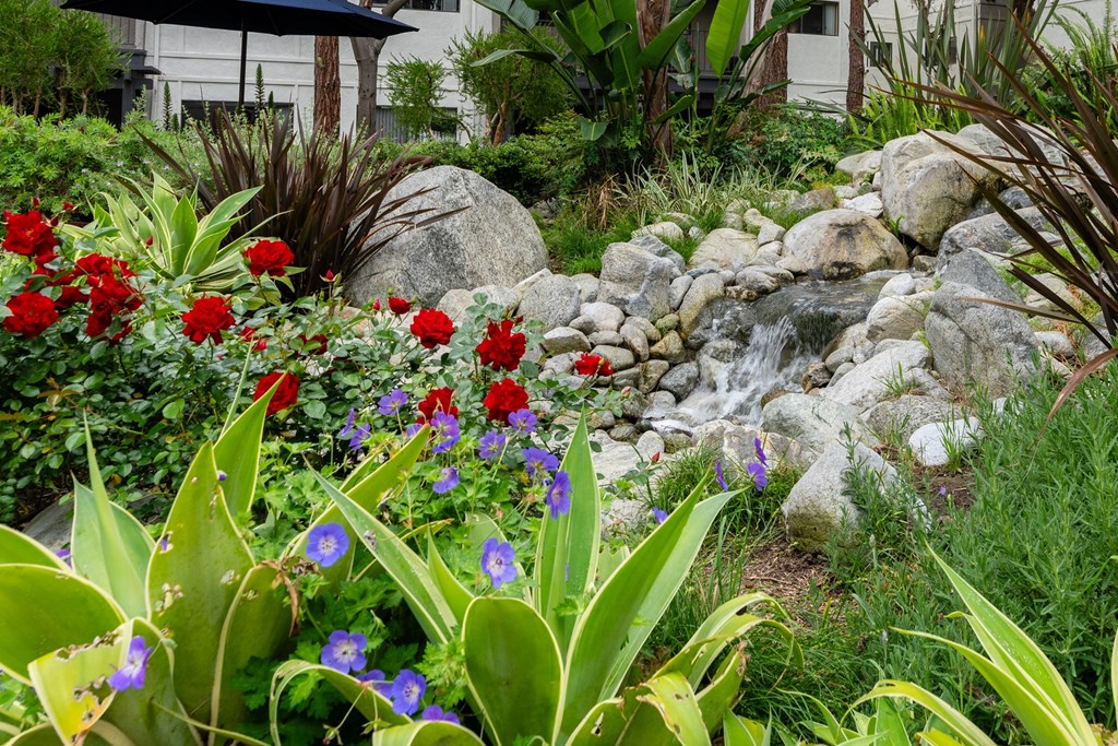 a garden with flowers and a stream at 55+ FountainGlen Goldenwest, Westminster, CA