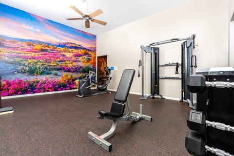 a gym with exercise equipment and a painting of flowers on the wall at 55+ FountainGlen Valencia, Valencia, California