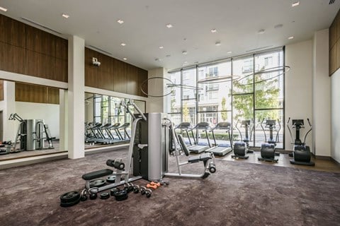 a gym with weights and cardio equipment in a building with large windows