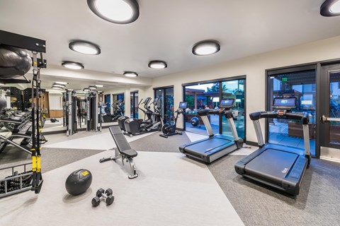 a gym with cardio equipment and weights on the floor and glass doors