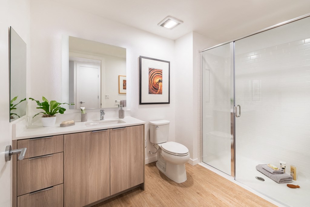 a bathroom with a shower toilet and sink and a mirror