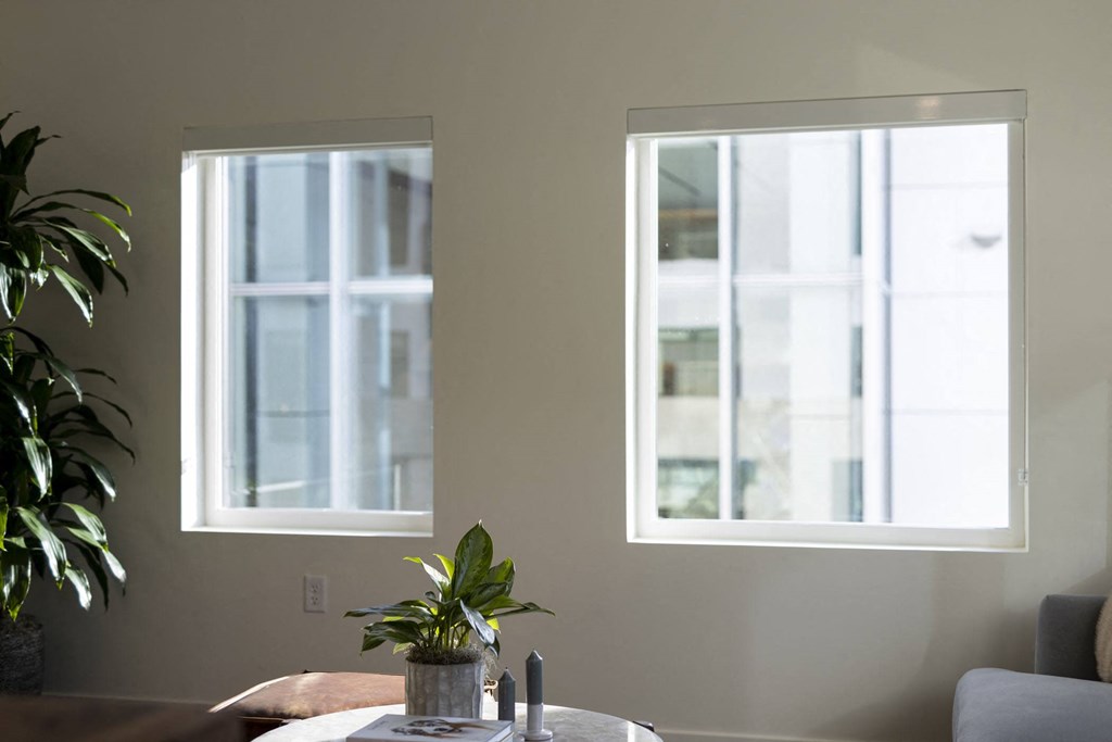 Living room with windows