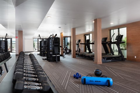 a gym with cardio equipment and weights on the floor
