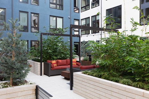a living area with a couch and plants in a courtyard