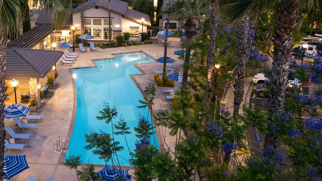 Swimming pool surrounded by palm trees at The Grove Apartments, Ontario, California