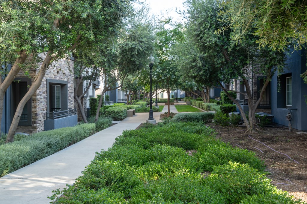 Tree-lined walkway at The Grove Apartments, California, 91761