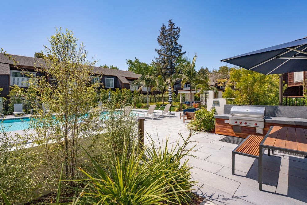 A pool surrounded by trees and plants with a building in the background.