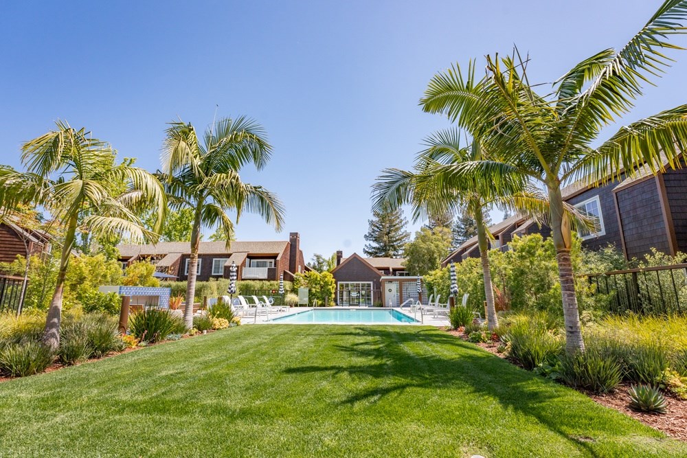 A backyard with a pool and palm trees.