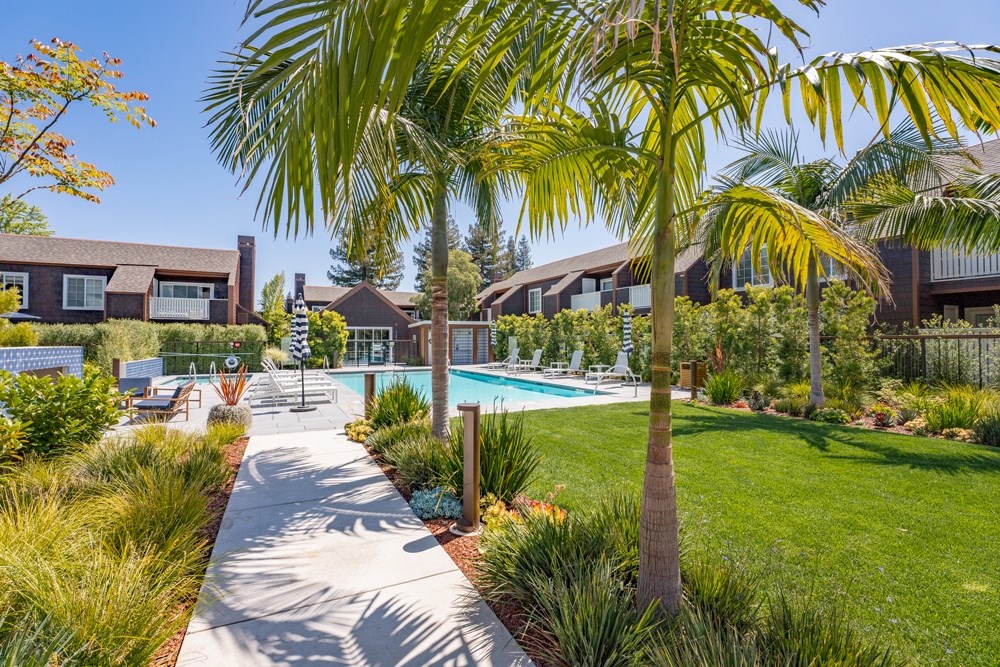 A pathway leads to a pool surrounded by a lush garden.