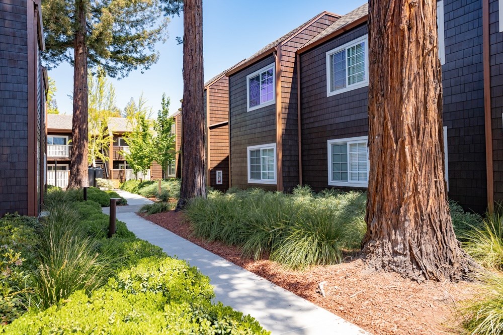 A tree trunk is in the foreground of a building.