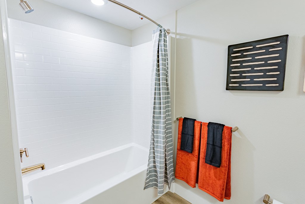 a bathroom with a shower and a bathtub