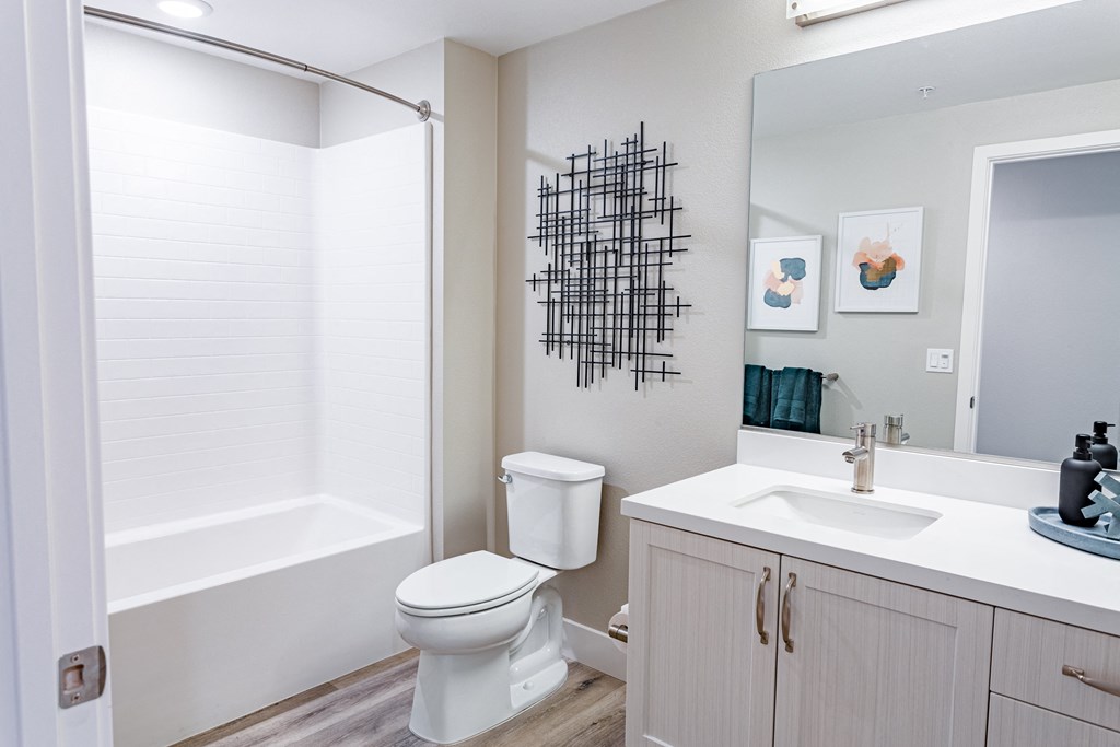 Bathroom with white vanity, toilet and bathtub