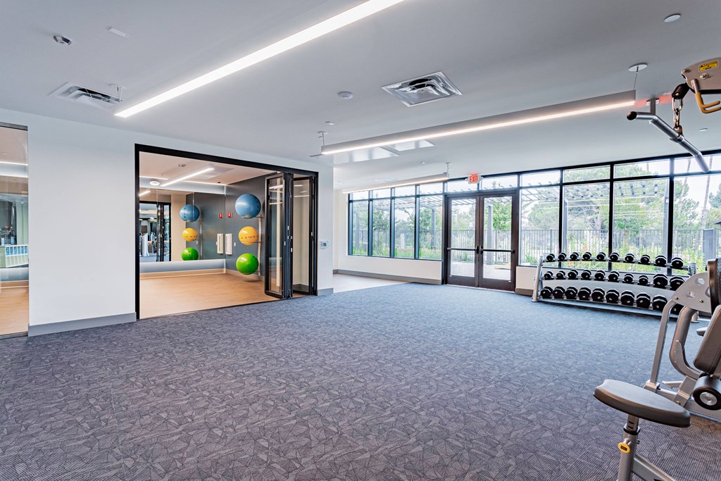 room with large windows