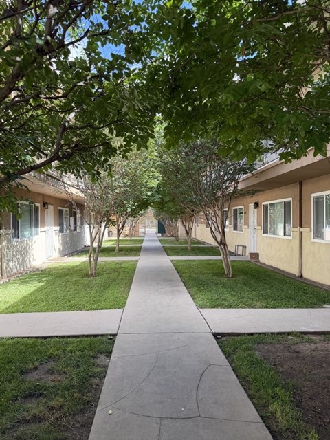 A tree-lined walkway leads to apartment buildings.