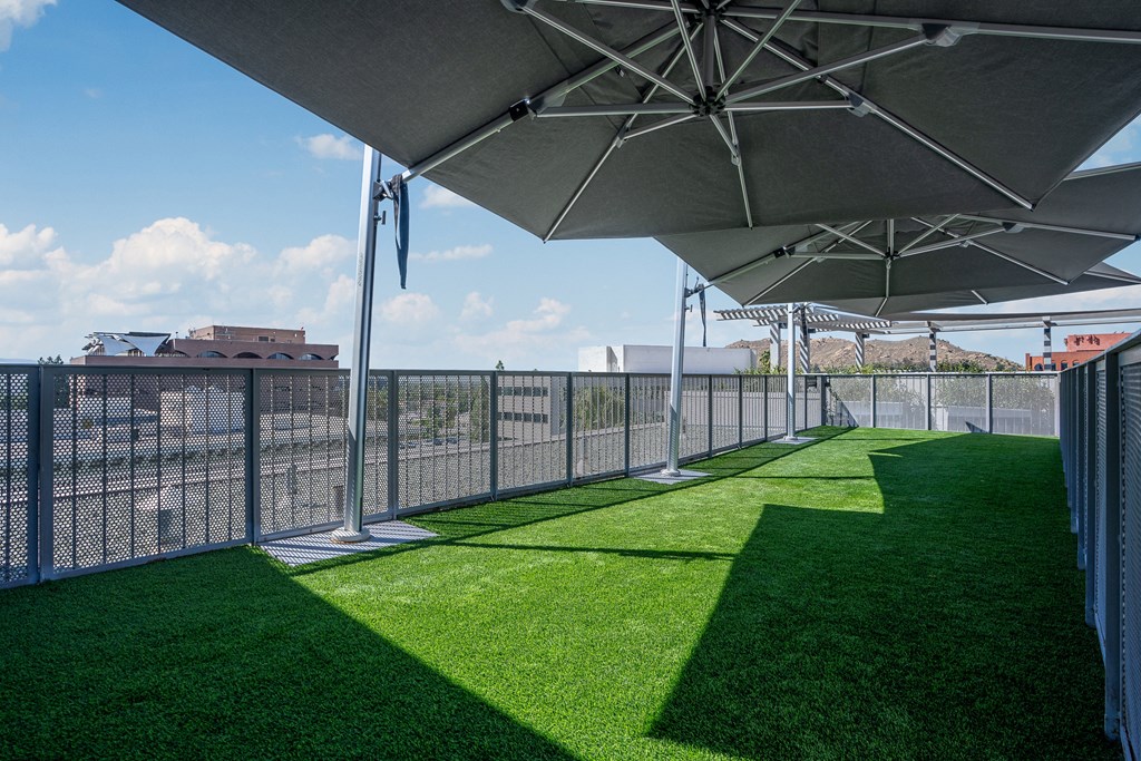 lounge area with grass and umbrellas