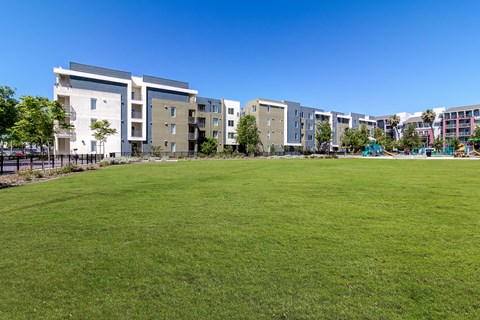 the preserve at ballantyne commons park with lawn and apartment buildings