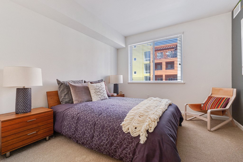 LINQ Apartments in San Jose, CA With Wall to Wall Carpet, Large Windows, and White Walls