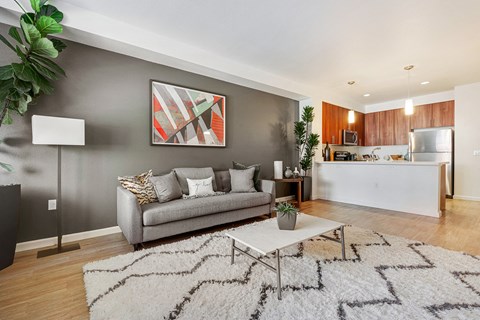 Living and kitchen area