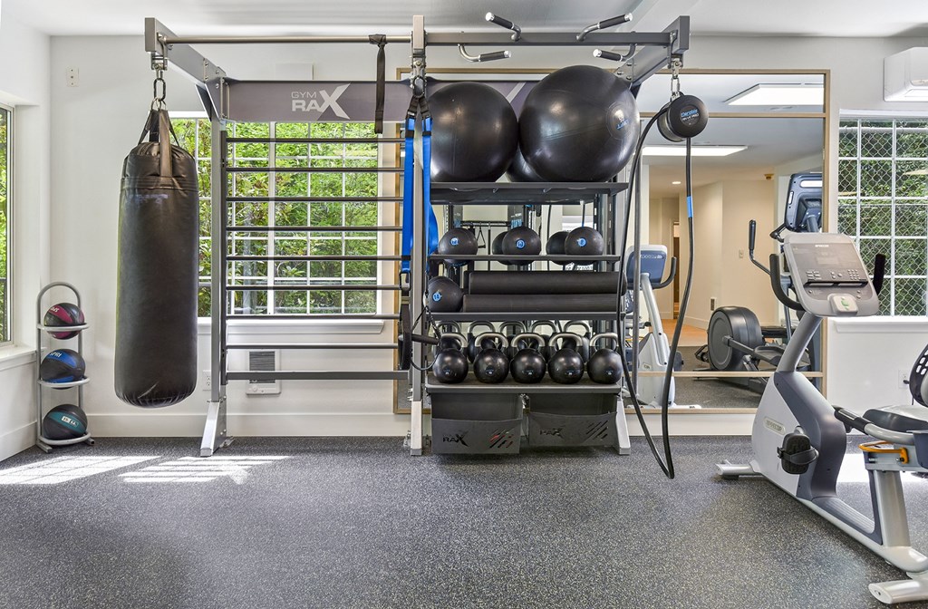 a gym with a punching bag and fitness equipment at Lakemont Orchard, Washington