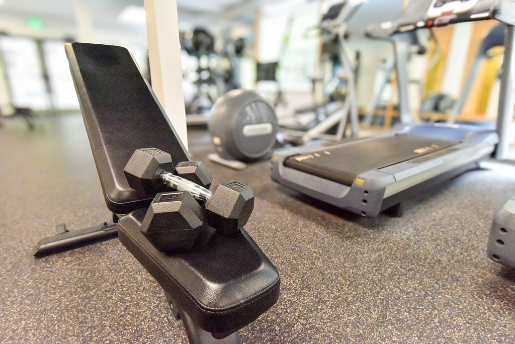 a dumbbell on a chair in the gym at Lakemont Orchard, Issaquah Washington