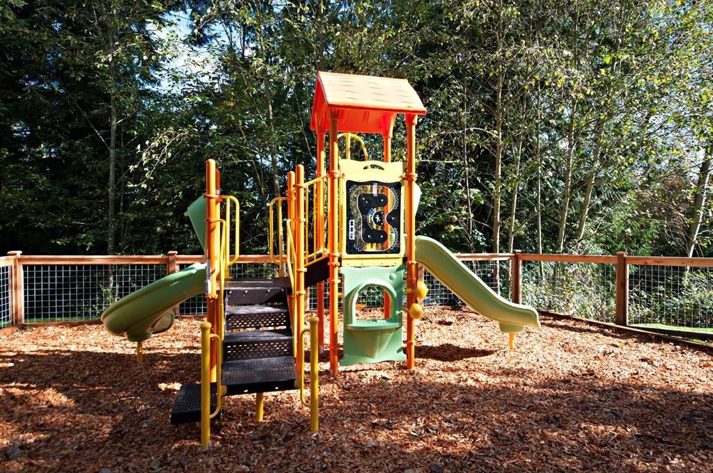 Kids play area at Lakemont Orchard, Issaquah, WA 98027