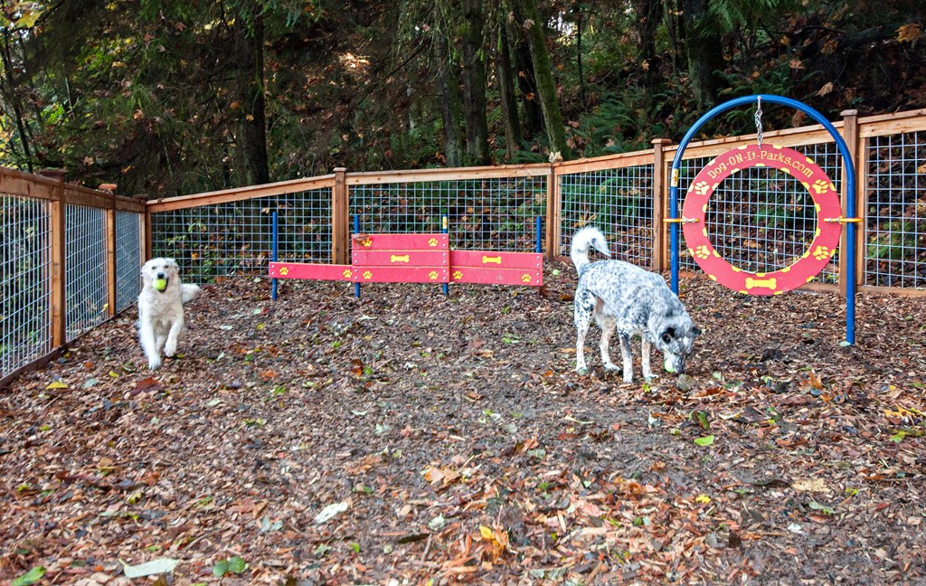 Dog park View at Lakemont Orchard, Washington, 98027