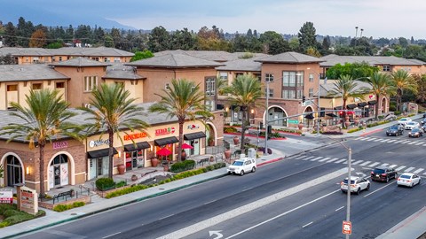 A street view of a shopping area with palm trees and cars on the road.