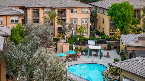 A pool surrounded by trees and umbrellas in a residential area.