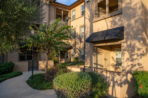 A building with a tree in front of it.