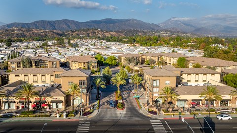 A street view of a residential area with houses and palm trees.