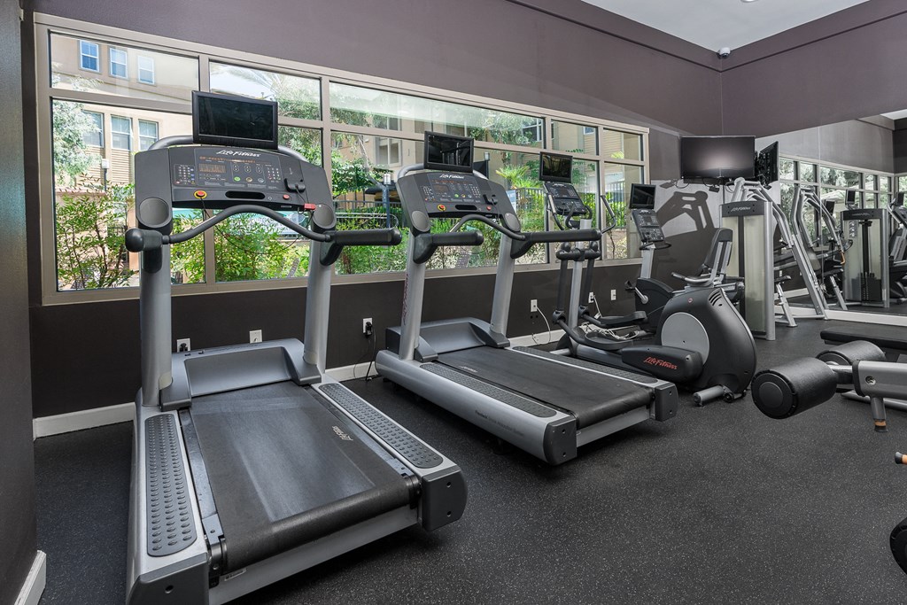 a row of treadmills in a gym