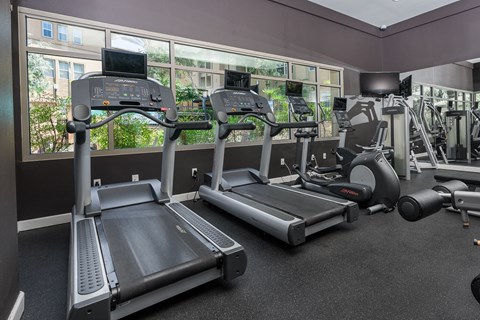 a row of treadmills in a gym