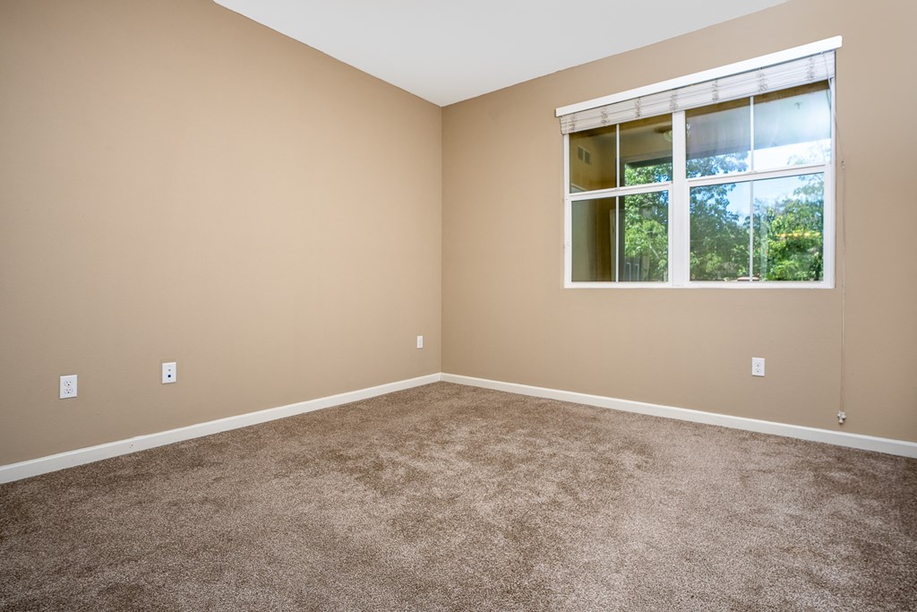 a bedroom with carpet and a large window