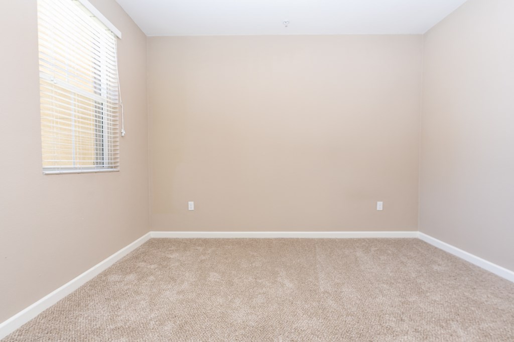 a room with a carpeted floor and a window with a blind