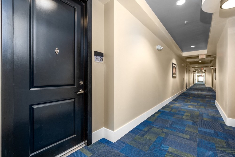 a hallway with a black door and a blue and white carpet