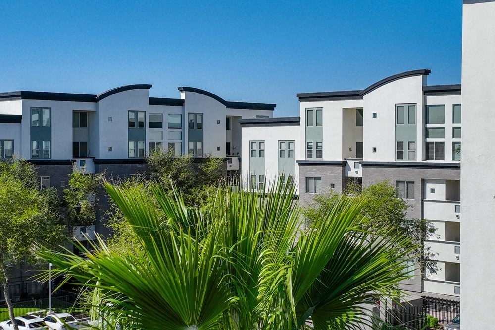 a row of apartment buildings with palm trees in the foreground