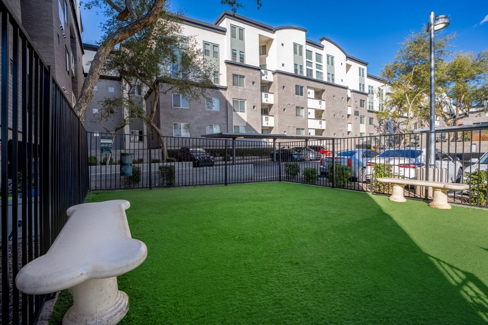 a yard with green grass and a fence and apartment buildings