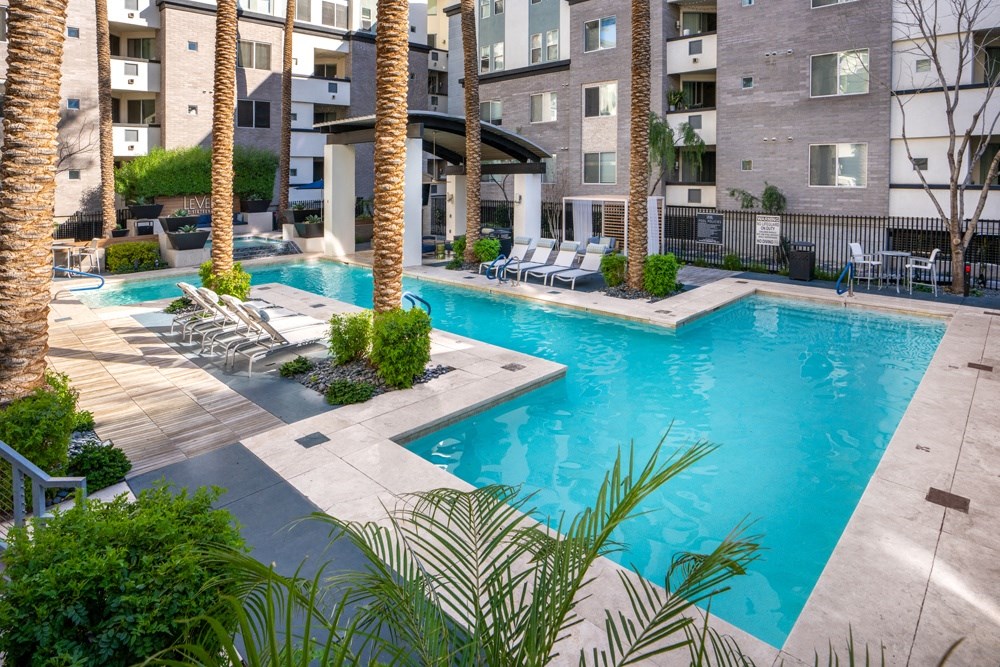 our apartments have a large swimming pool with chairs and palm trees