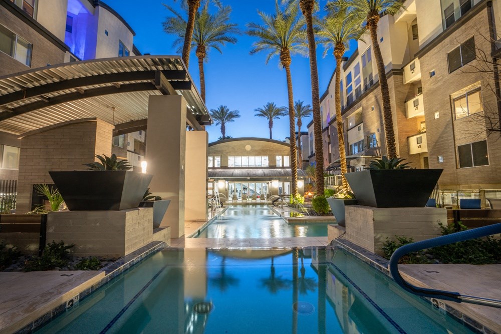 a swimming pool  with palm trees