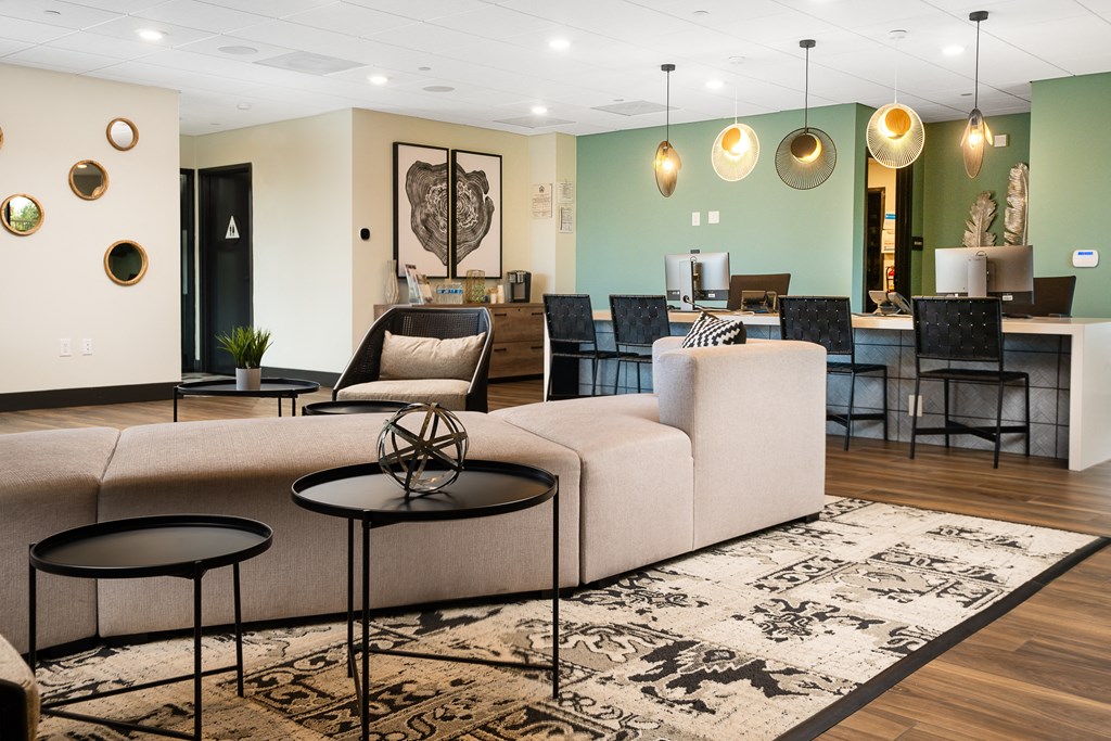 a living room filled with furniture and a large rug