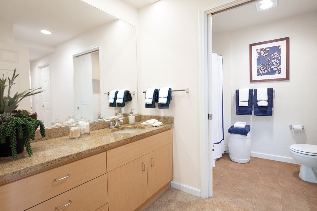 a bathroom with a toilet and a sink and a mirror