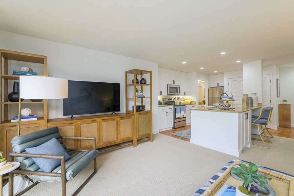 a living room with a tv and a kitchen in the background