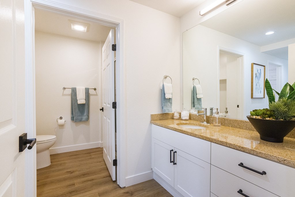 a bathroom with a sink and a toilet and a mirror