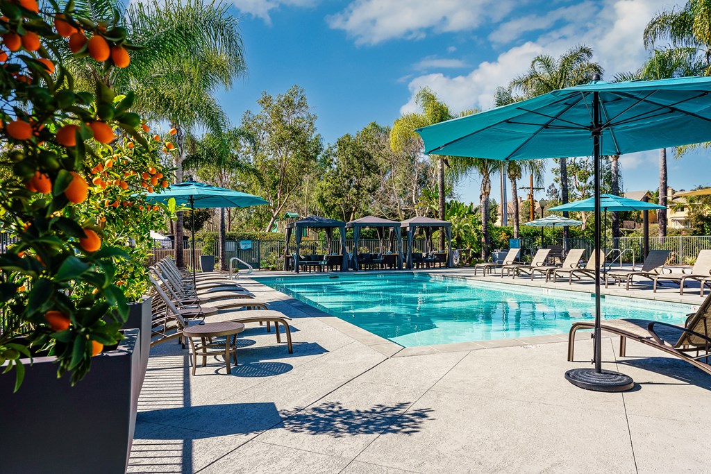 missions at chino hills pool and lounge chairs and umbrellas
