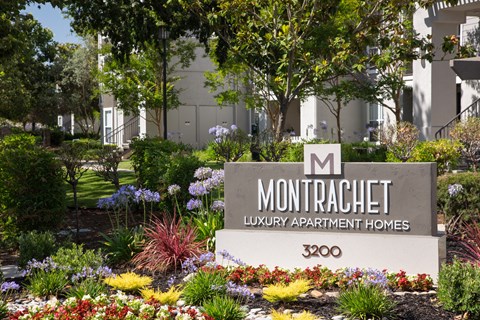 3200 Soscol Avenue 1-2 Beds Apartment for Rent